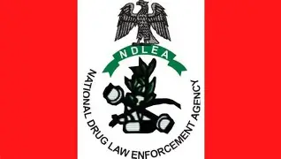 An image of NDLEA Logo