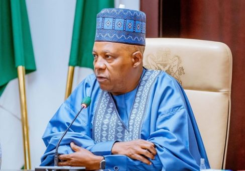 An Image File of Vice President Kashim Shettima